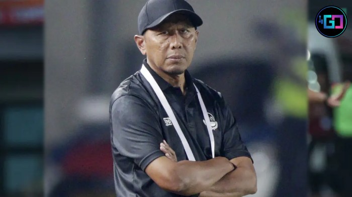 Liga Indonesia